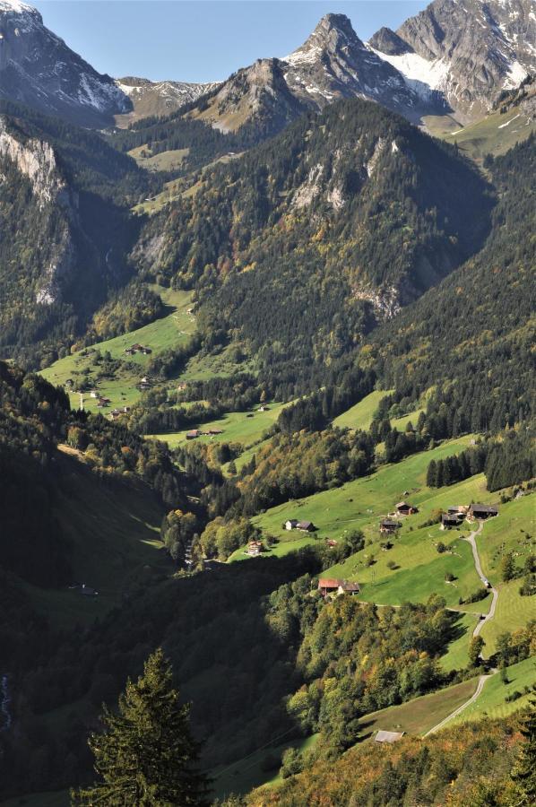 Ferienwohnung Ob Vierwaldsaettersee Isenthal Ngoại thất bức ảnh