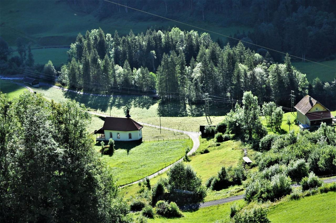 Ferienwohnung Ob Vierwaldsaettersee Isenthal Ngoại thất bức ảnh
